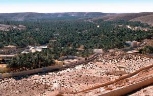 Une Palmeraie de  Ghardaia en 1990