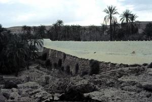 Ghardaïa - Enceinte d'une Palmeraie