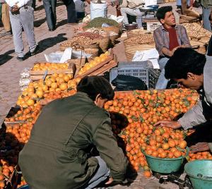 Les Oranges de Ghardaia