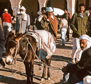 Place du Marché de Ghardaia