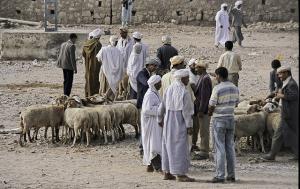 Marché de Bestiaux à l'Approche de l'Aid el Kebir (Ghardaia)