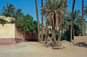 Entrée d'une palmeraie à Ghardaia