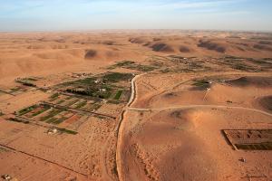 Vue aérienne sur les champs agricoles à Ghardaia