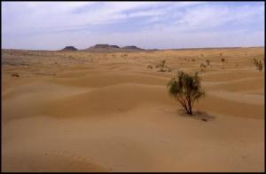 Le Désert de Ghardaia