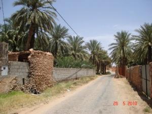 Commune de El Atteuf à Ghardaia