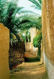 Jardins de Ghardaia