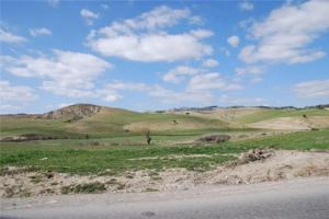 Ghardaia au Printemps