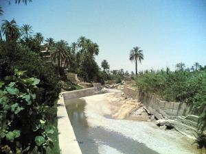 Une Oasis de Ghardaia