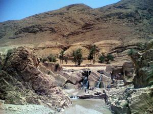 Oasis à Ghardaia