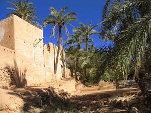 PALMERAIE DE LA COMMUNE DE BOUNOURA A GHARDAIA