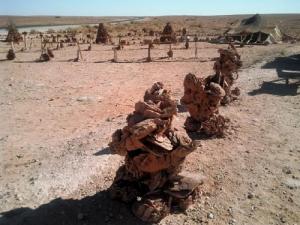 Vente rose de sable (Ghardaia)