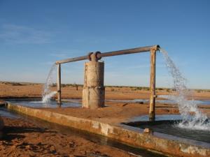 Irrigation d'une palmeraie à Gherdaia