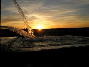 Irrigation d'une palmeraie à Ghardaia