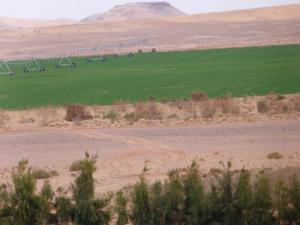 Une ferme à Hassi Ghanem (Ghardaia)