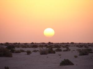 Lever du Soleil sur le Sahara (Ghardaia)