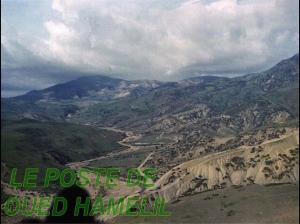 OUED-HAMLIL - ZEBOUDJA (Chlef).