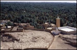 La Palmeraie Gigantesque de Ghardaia