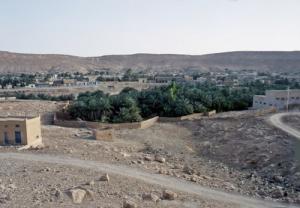 Une Palmeraie dans la commune de Metlili (Wilaya de Ghardaia)