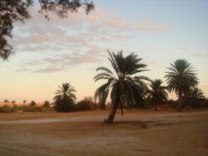 Hamam Zelfana (Ghardaia)