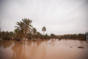la Crue du Oued de Ghardaia