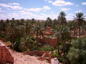 Palmeraie à Ghardaia