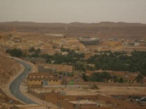 Une Palmeraie de Ghardaia