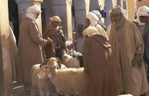 Marché de Bestiaux à Ghardaia