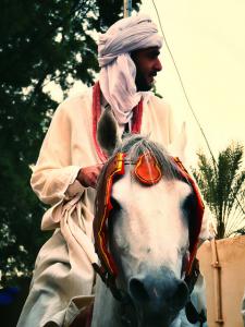 Fantazia à Metlili (Ghardaia)