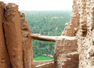 Une Palmeraie de Ghardaia