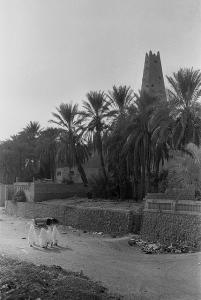 Valey du M'zab (Ghardaia)