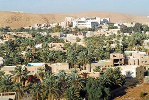 Une Palmeraie de Ghardaia