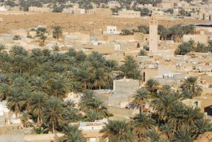 Palmeraie de Ghardaia