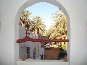 Ghardaia, palmeraie