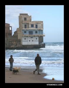 Chatt El Hillel ex Plage Oued ElHallouf  Hiver 2007