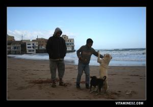 Chatt El Hillel ex Plage Oued ElHallouf  Hiver 2007