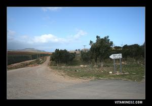 Route vers plage el Ward