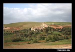 Ferme coloniale sur la route de Sidi Djelloul