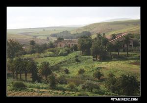 Ferme coloniale sur la route de Sidi Djelloul