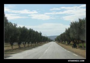 Douar Ouled Sidi Salem