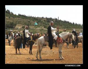 Waada de Sebaa Chioukh, en arrière plan Sidi Lahcene, l'un des sept chioukh