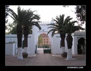 Cimetière Sidi Senoussi