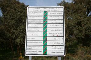 un garde-fou au singulier et des fous au pluriel