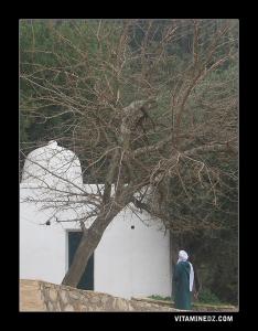 Mausolé de Sidi Abdallah Ben Ali D'el B'aal