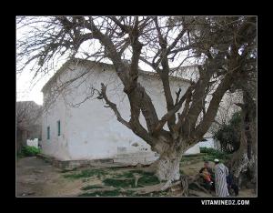 Sidi Daoudi Ibn Nacer