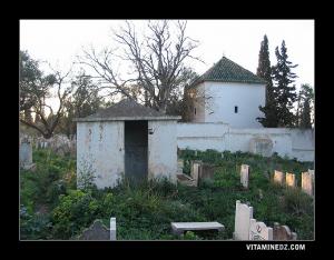 Marabout de Sidi Benmsaib derrière le mausolée de Sidi Senoussi