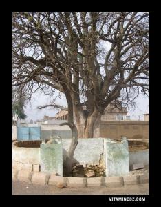 Sidi Attar au village d'El Attar