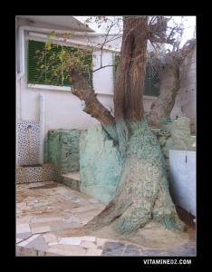 Sidi Bahamou El Ghrib à Imama