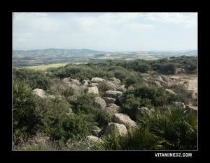 Pierres issues de Ruines d'un mausolée de Siga