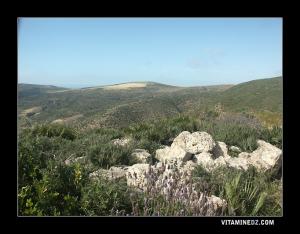 Vestiges de Siga sur les hauteurs de Oued Tafna