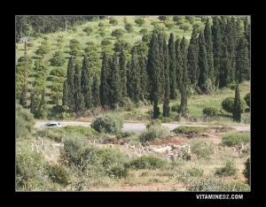 Cimetière de Beni Ghename